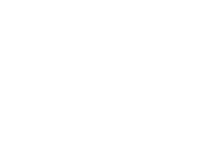 RapidSOS