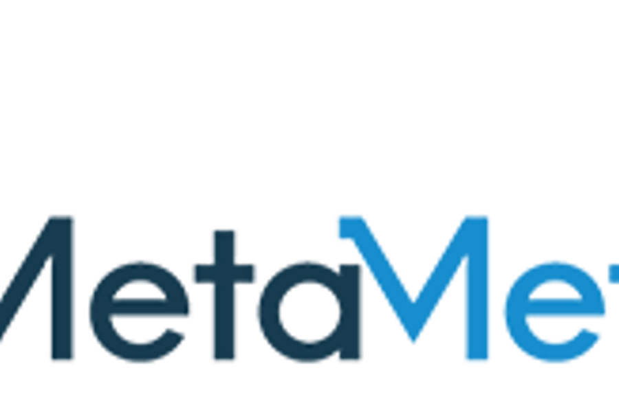 0060 Metametrics