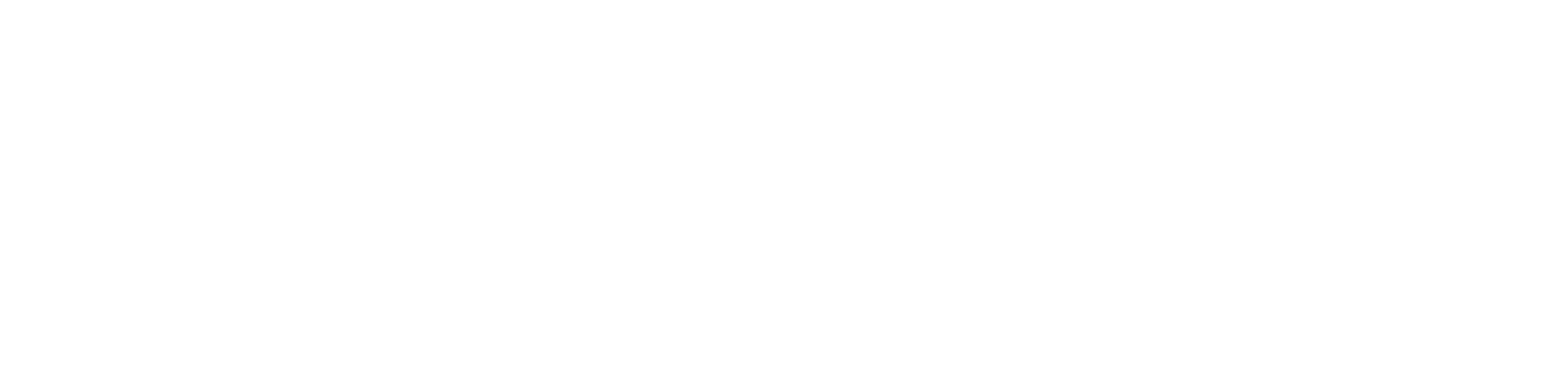 Solita